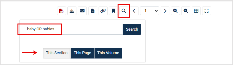 searching within a document